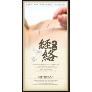 书畅销数百万册！【黄帝内经精注全译1—6册】全本无删减！无障碍阅读版！注音注释，译文精准，整版古典绣像经络插图！附针灸按摩等延伸知识！