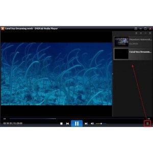 DVDFab+Player+v7.0.0.3高级版