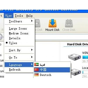 「Windows+File+Recovery界面版」