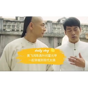 叶问系列：极速在线查看、无需下载、倍速播放