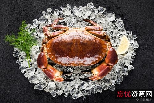 精彩绝伦：瑞典知名导演劳米·拉佩斯执导的犯罪惊悚电影《黑蟹行动BlackCrab(2022)》