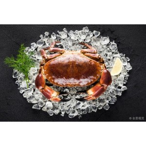 精彩绝伦：瑞典知名导演劳米·拉佩斯执导的犯罪惊悚电影《黑蟹行动BlackCrab(2022)》