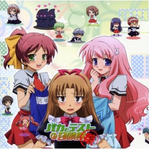 《笨蛋，测验，召唤兽：一款精彩有趣的游戏》