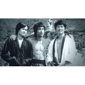 《林正英经典电影66部：稀有高清修复版本，倍速播放，原画精美》