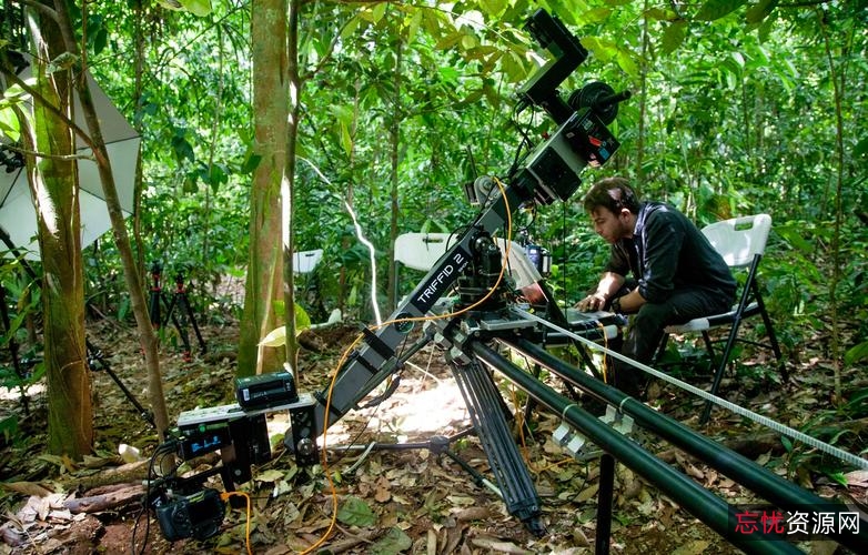 BBC与BiliBili联手推出《TheGreenPlanet绿色星球》，共同守护地球家园！