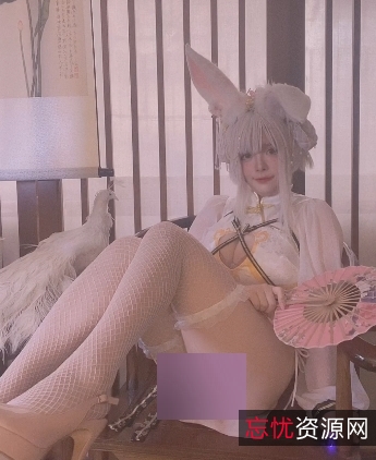 《NinJa阿寨寨的爱情故事：11套作品合集》