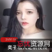 奕子定制视频：无水印、高质量保护