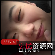 用嘴天堂女主颜值合集537V4.5G小视频1100位