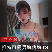推特男娘TS精品视频合集471V4.3G，可爱伪娘精彩内容不容错过！
