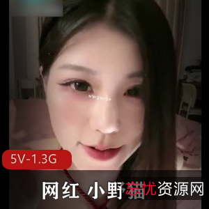 网红小野猫：无敌身材超高颜值直播秀[5V-1.3G]，反差大穿着打扮道具秀推荐