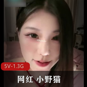 网红小野猫：无敌身材超高颜值直播秀[5V-1.3G]，反差大穿着打扮道具秀推荐