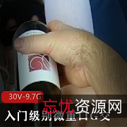 P站MsFine入门级别微口味重G交洋马合集二30V9.7G，资源玩家级收藏必备