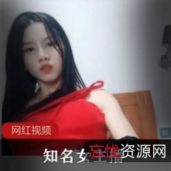 抖X李露深夜直录精华88部30G超火