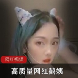 鹤姨50G私房视频合集88部油管劲爆