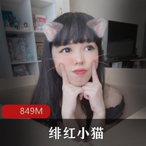 绯红小猫斗鱼深夜秀合集849MB优质腰臀